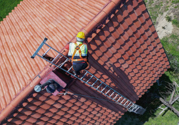 Steel Roofing in Jasmine Estates, FL