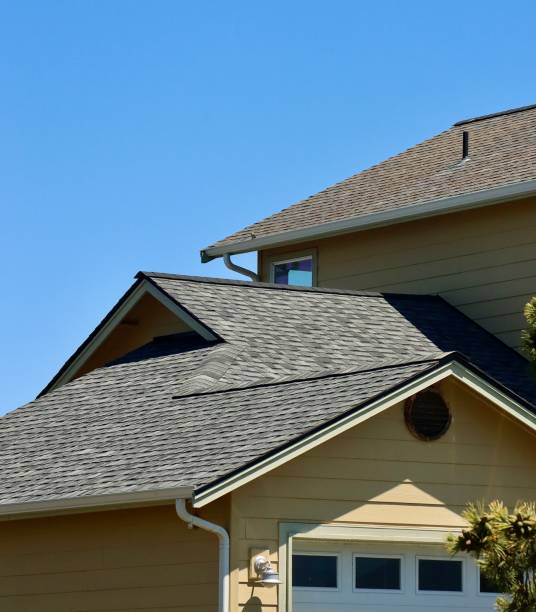 Best Asphalt Shingles Roofing  in Jasmine Estates, FL